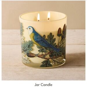 John Derian for Target Birds and Foliage Jar Candle